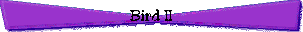 Bird II