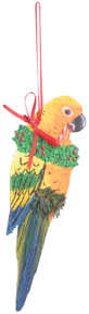 Sun Conure