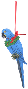 Hyacinth Macaw