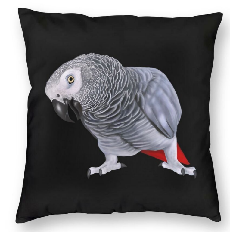 African Grey Pillow Case